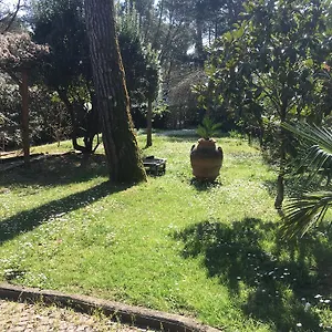 Old Town In The Green: Federico's Apartment. Firenze